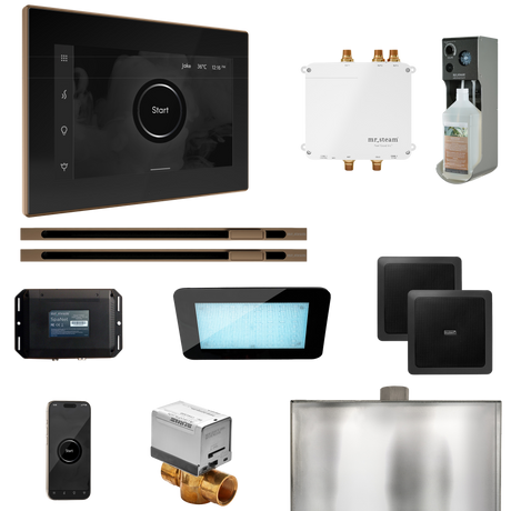 Mr. Steam Bliss Max Steam Shower Control Package with iSteamX Control and Linear Steamhead