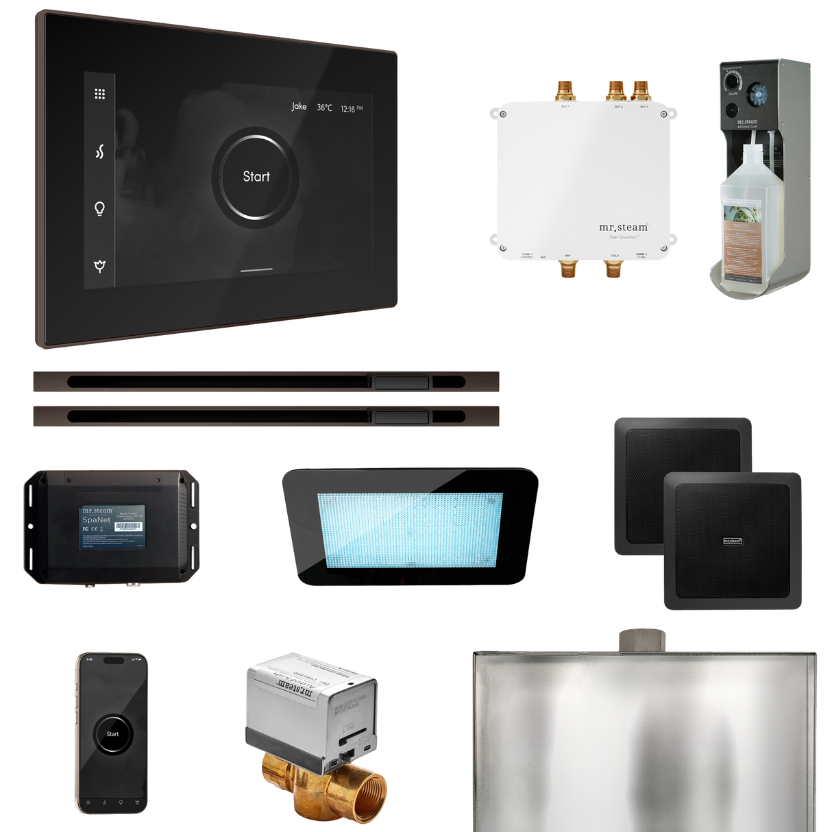 Mr. Steam Bliss Max Steam Shower Control Package with iSteamX Control and Linear Steamhead