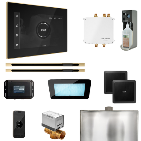 Mr. Steam Bliss Max Steam Shower Control Package with iSteamX Control and Linear Steamhead