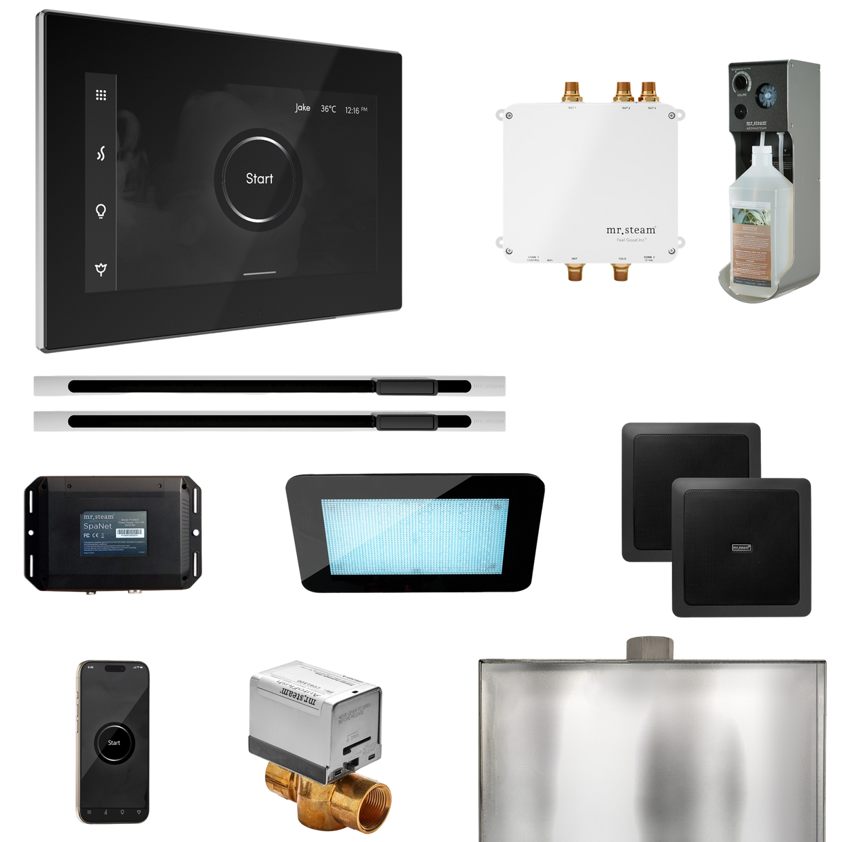 Mr. Steam Bliss Max Steam Shower Control Package with iSteamX Control and Linear Steamhead