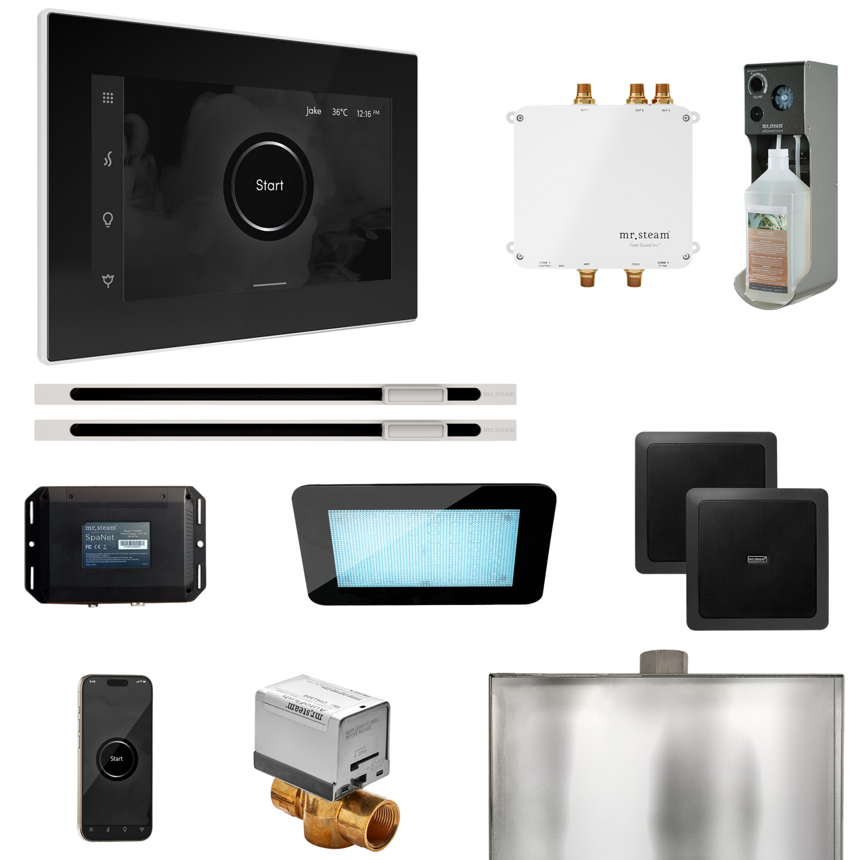 Mr. Steam Bliss Max Steam Shower Control Package with iSteamX Control and Linear Steamhead