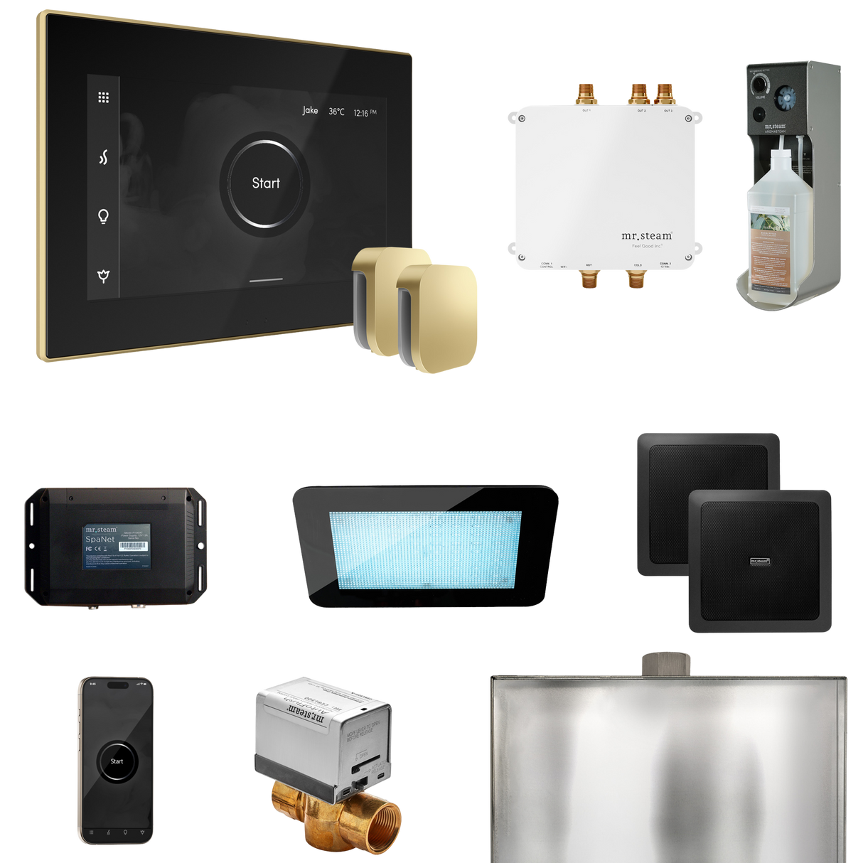 Mr. Steam Bliss Max Steam Shower Control Package with iSteamX Control and Steamhead