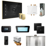 Mr. Steam Bliss Max Steam Shower Control Package with iSteamX Control and Steamhead