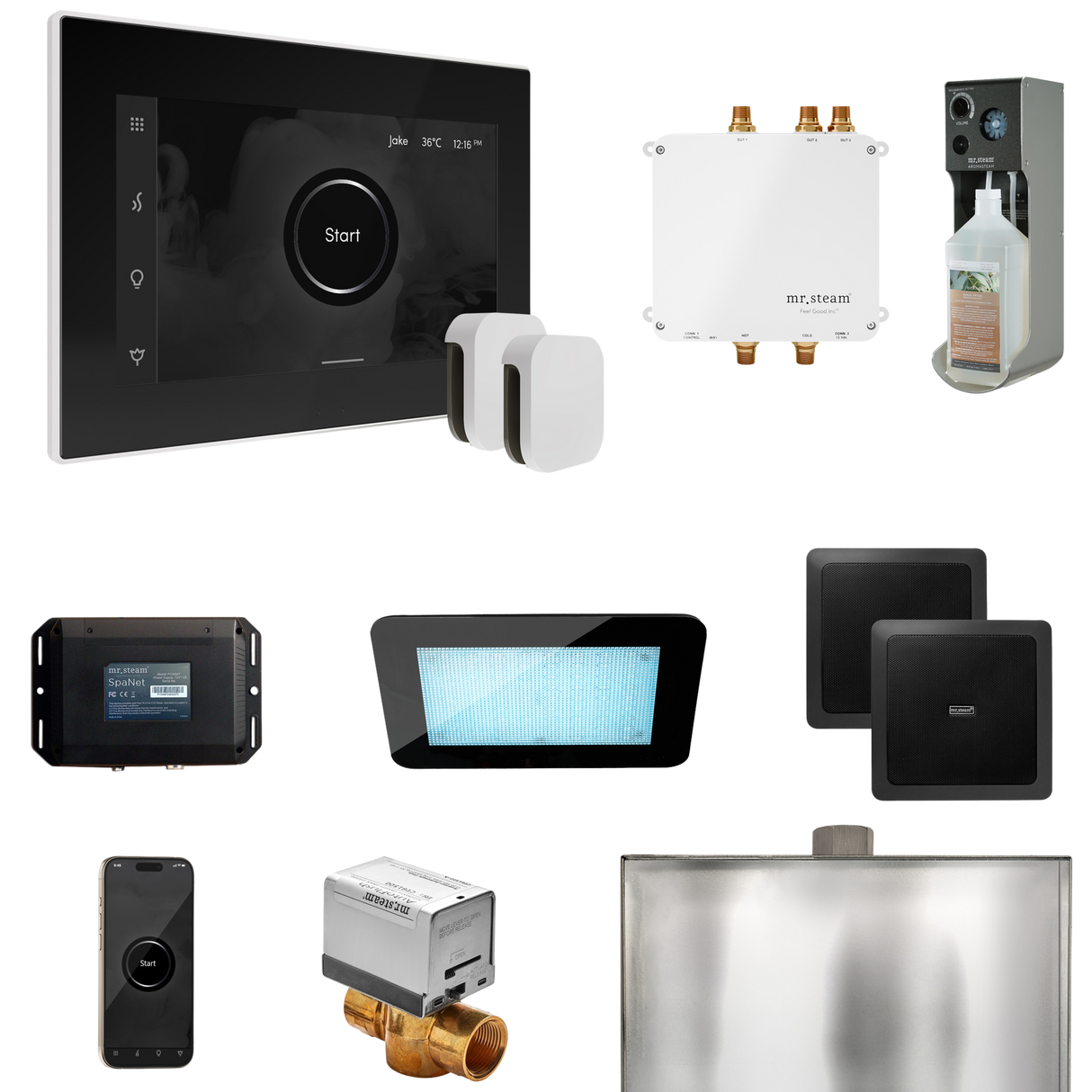 Mr. Steam Bliss Max Steam Shower Control Package with iSteamX Control and Steamhead