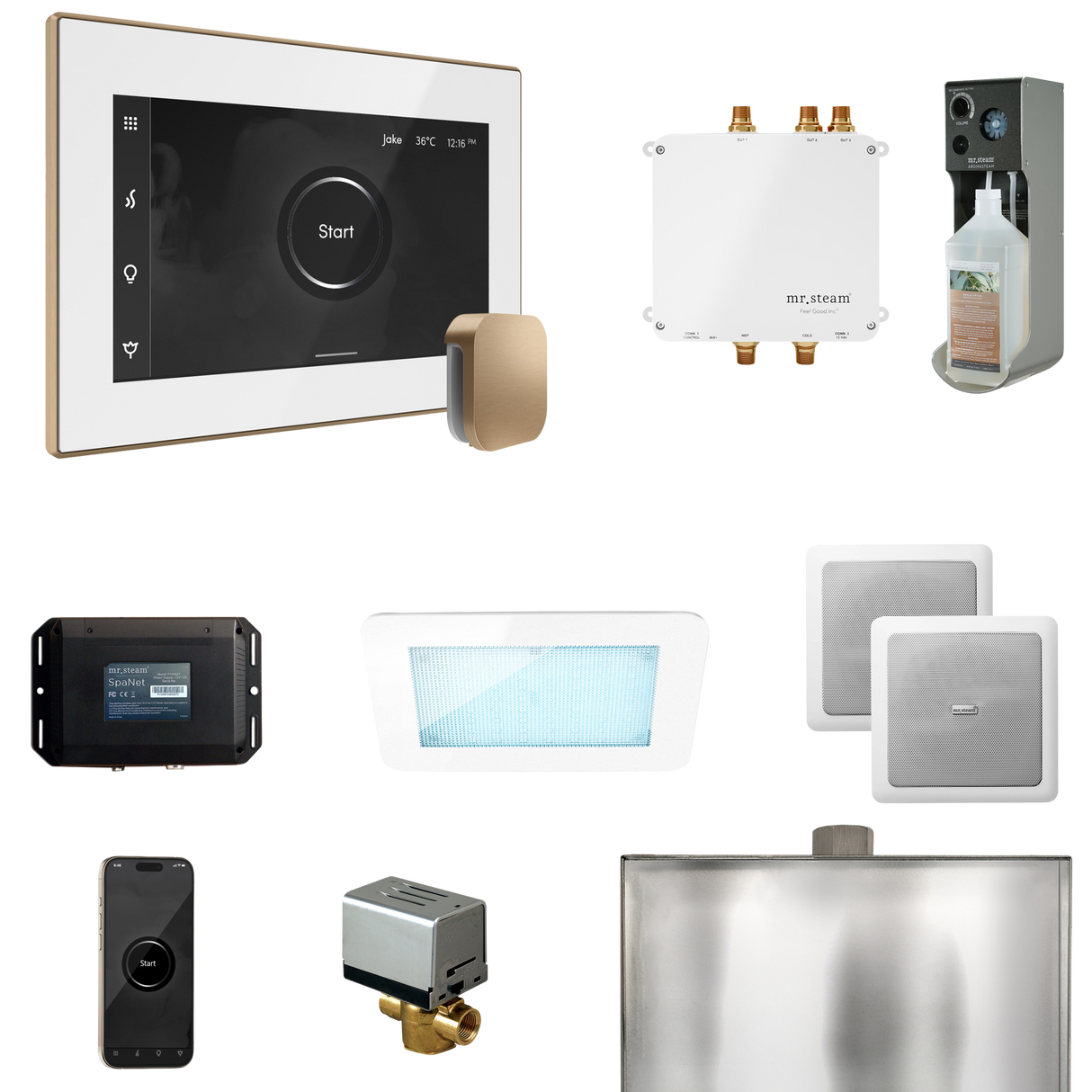 Mr. Steam Bliss Steam Shower Control Package with iSteamX Control and Steamhead