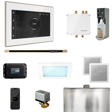 Mr. Steam Bliss Steam Shower Control Package with iSteamX Control and Linear Steamhead