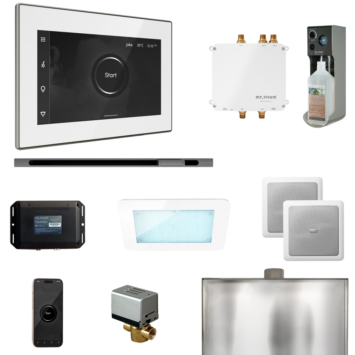 Mr. Steam Bliss Steam Shower Control Package with iSteamX Control and Linear Steamhead
