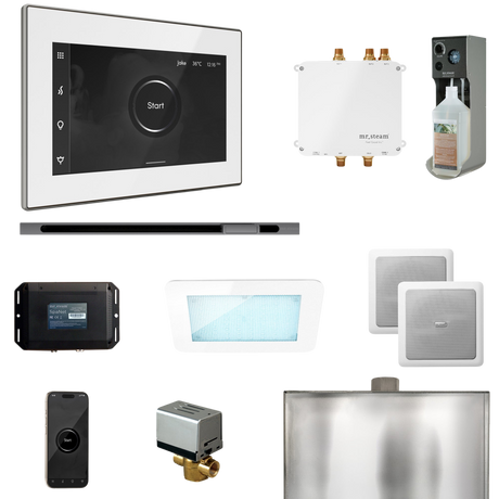 Mr. Steam Bliss Steam Shower Control Package with iSteamX Control and Linear Steamhead