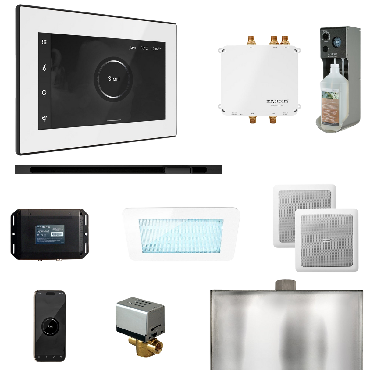 Mr. Steam Bliss Steam Shower Control Package with iSteamX Control and Linear Steamhead