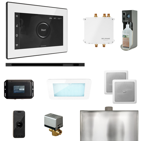 Mr. Steam Bliss Steam Shower Control Package with iSteamX Control and Linear Steamhead