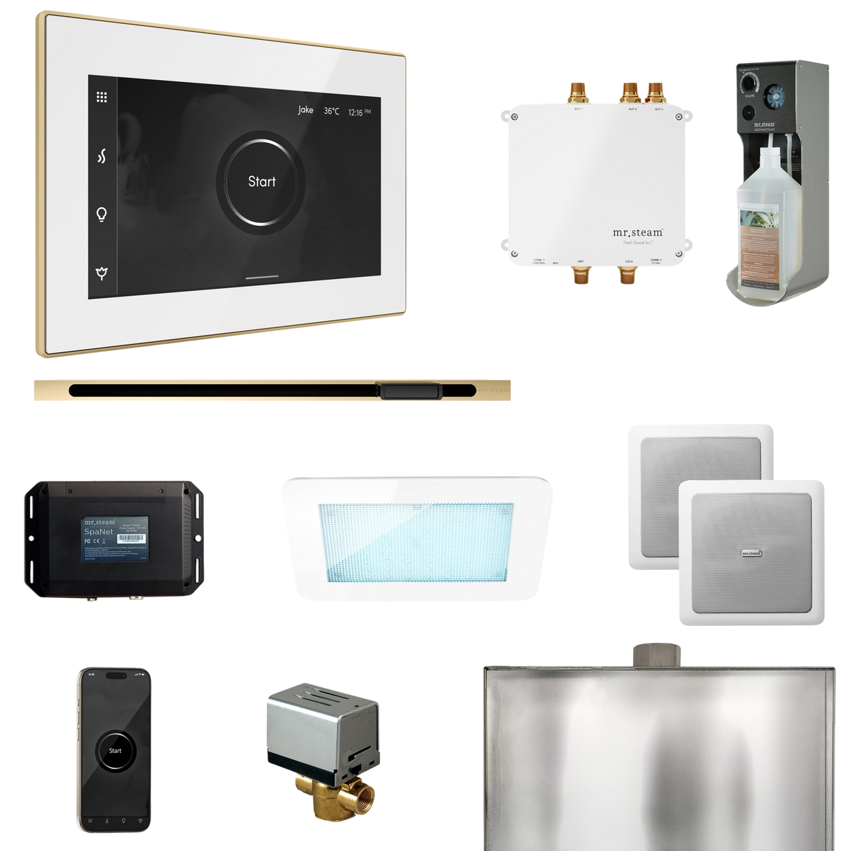 Mr. Steam Bliss Steam Shower Control Package with iSteamX Control and Linear Steamhead