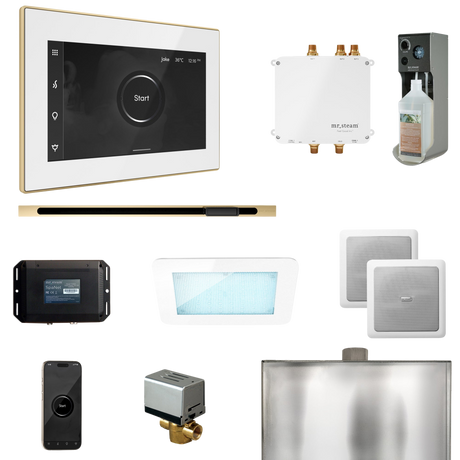 Mr. Steam Bliss Steam Shower Control Package with iSteamX Control and Linear Steamhead