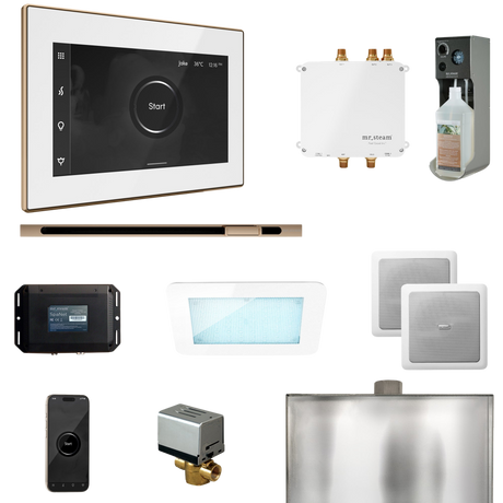 Mr. Steam Bliss Steam Shower Control Package with iSteamX Control and Linear Steamhead