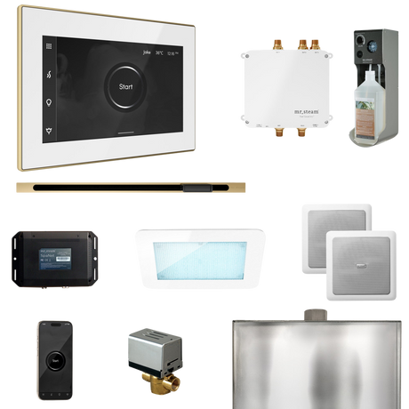 Mr. Steam Bliss Steam Shower Control Package with iSteamX Control and Linear Steamhead