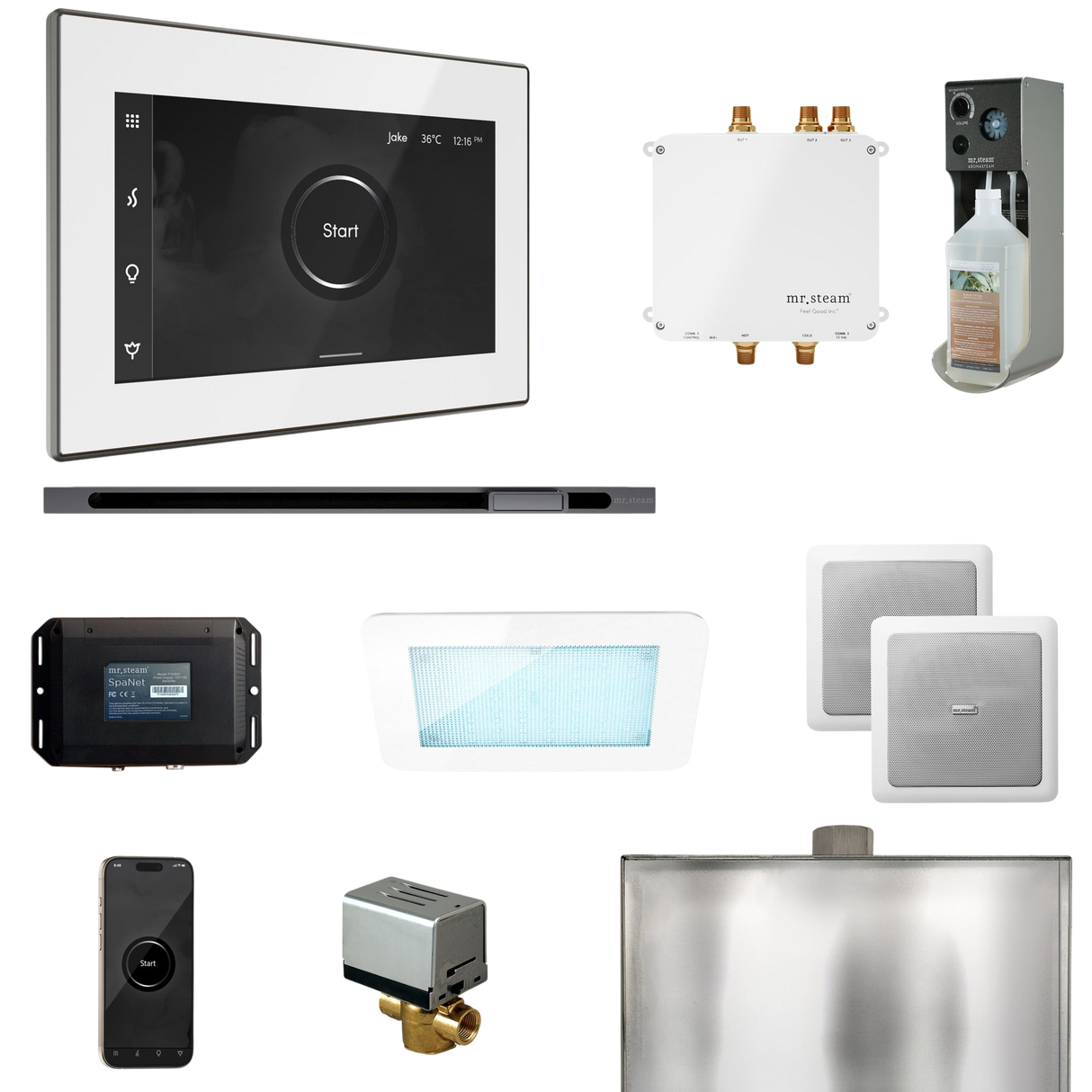 Mr. Steam Bliss Steam Shower Control Package with iSteamX Control and Linear Steamhead
