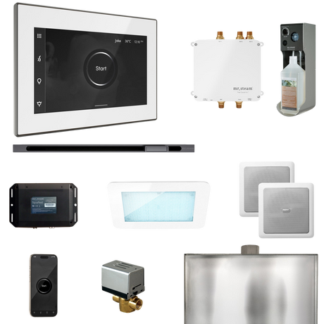 Mr. Steam Bliss Steam Shower Control Package with iSteamX Control and Linear Steamhead