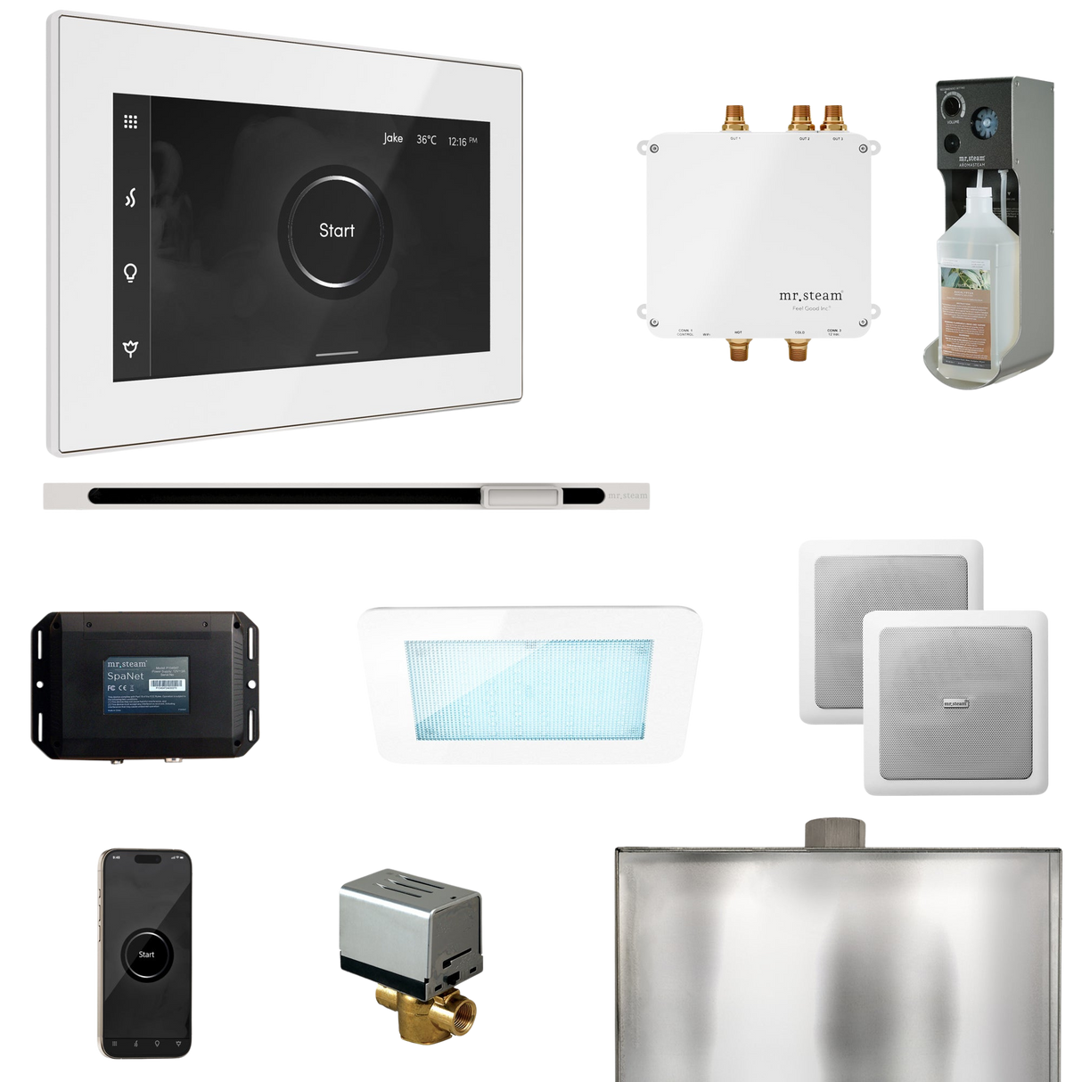 Mr. Steam Bliss Steam Shower Control Package with iSteamX Control and Linear Steamhead
