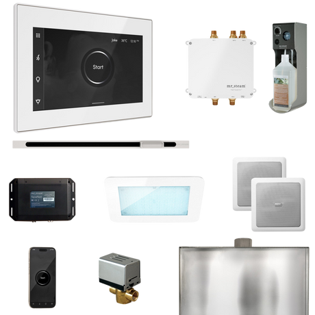 Mr. Steam Bliss Steam Shower Control Package with iSteamX Control and Linear Steamhead