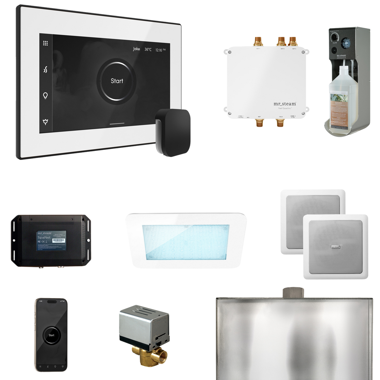 Mr. Steam Bliss Steam Shower Control Package with iSteamX Control and Steamhead