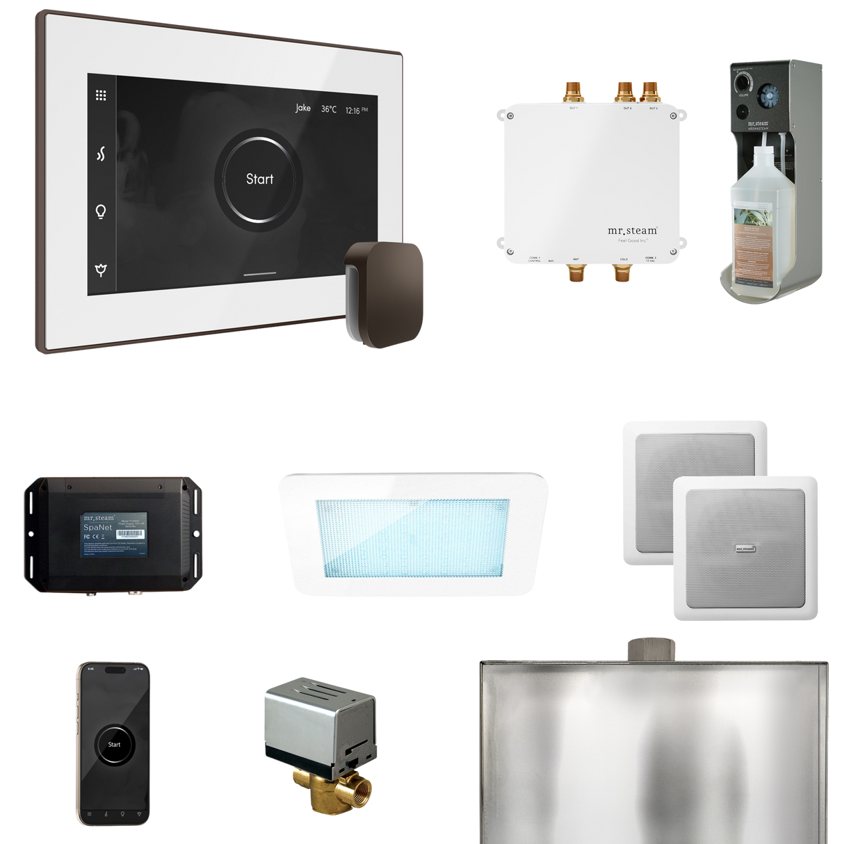 Mr. Steam Bliss Steam Shower Control Package with iSteamX Control and Steamhead