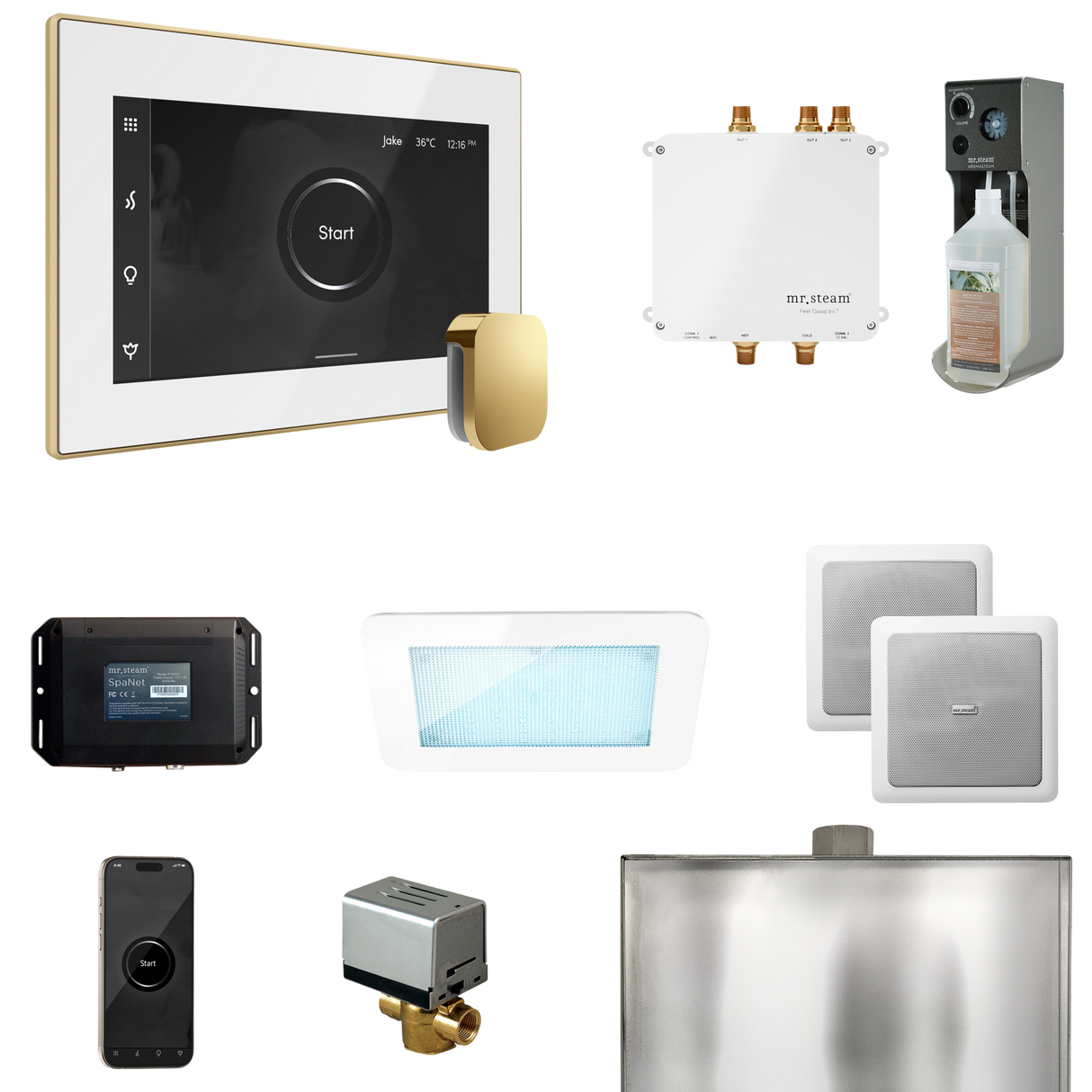 Mr. Steam Bliss Steam Shower Control Package with iSteamX Control and Steamhead