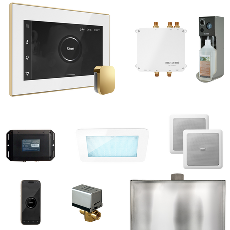 Mr. Steam Bliss Steam Shower Control Package with iSteamX Control and Steamhead