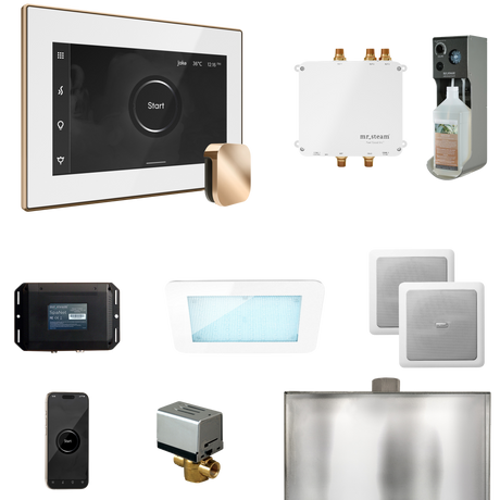 Mr. Steam Bliss Steam Shower Control Package with iSteamX Control and Steamhead