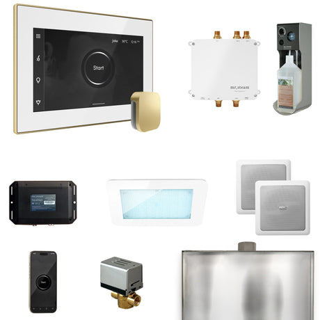 Mr. Steam Bliss Steam Shower Control Package with iSteamX Control and Steamhead