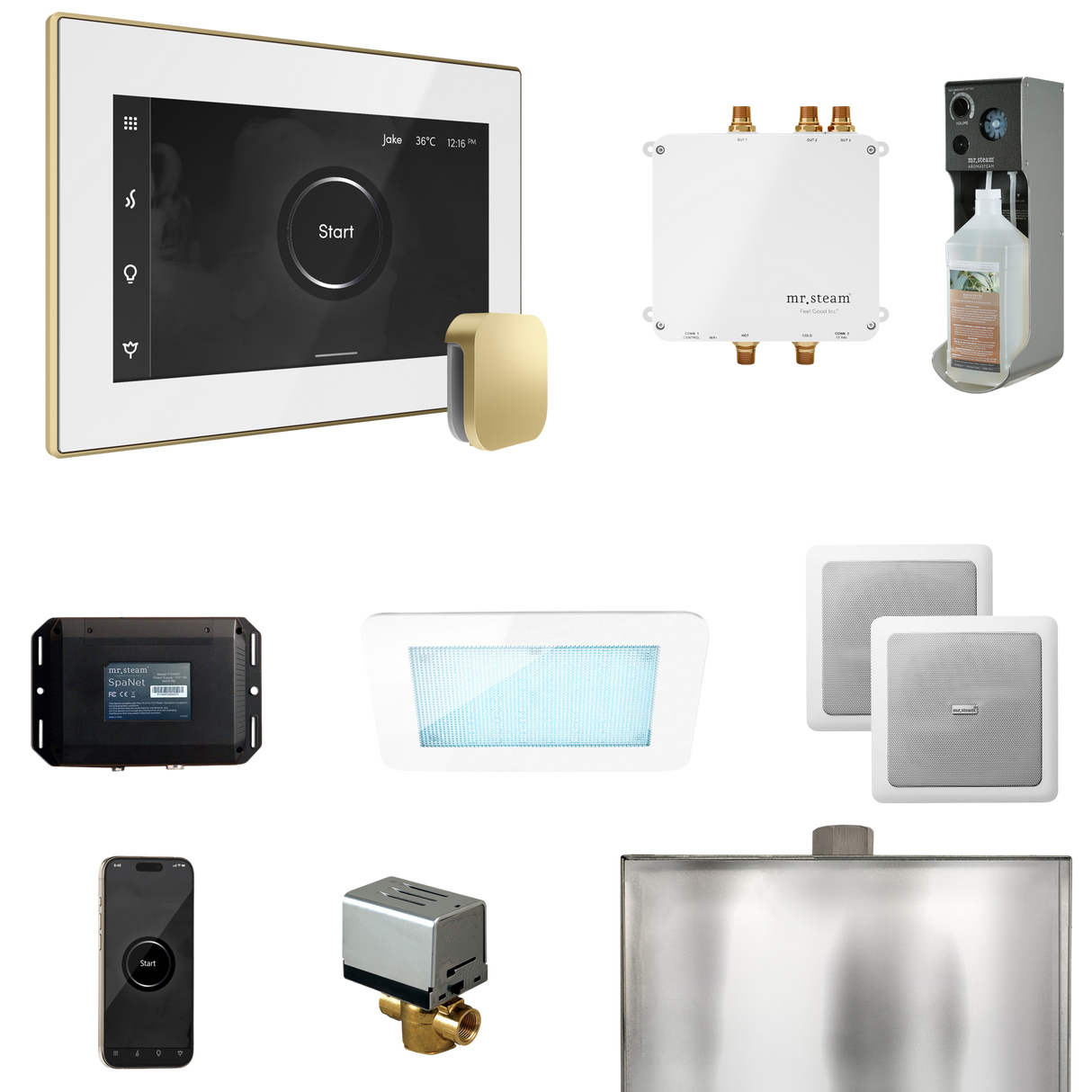 Mr. Steam Bliss Steam Shower Control Package with iSteamX Control and Steamhead