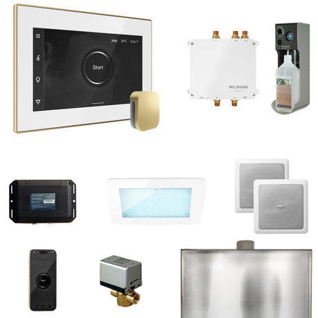 Mr. Steam Bliss Steam Shower Control Package with iSteamX Control and Steamhead
