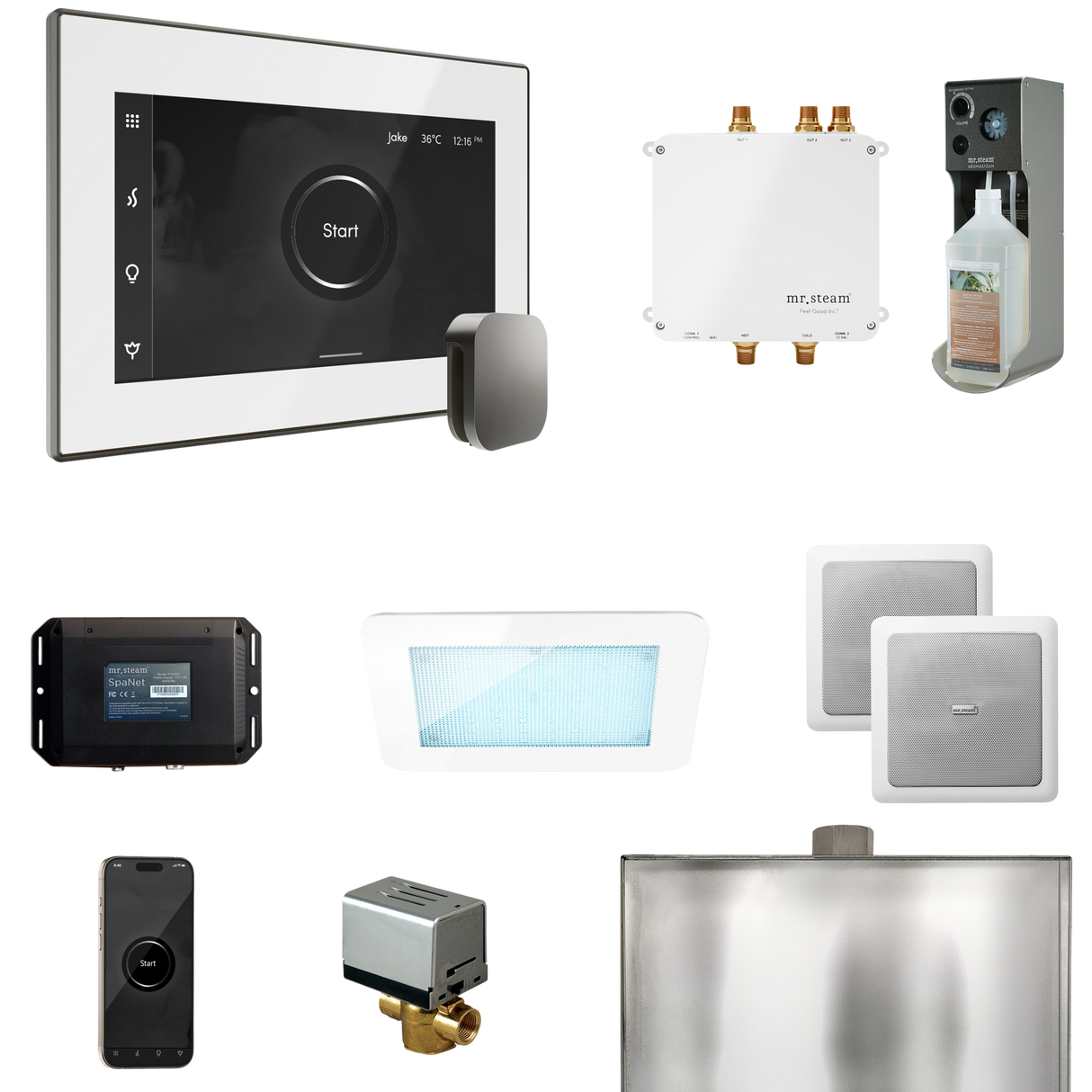 Mr. Steam Bliss Steam Shower Control Package with iSteamX Control and Steamhead