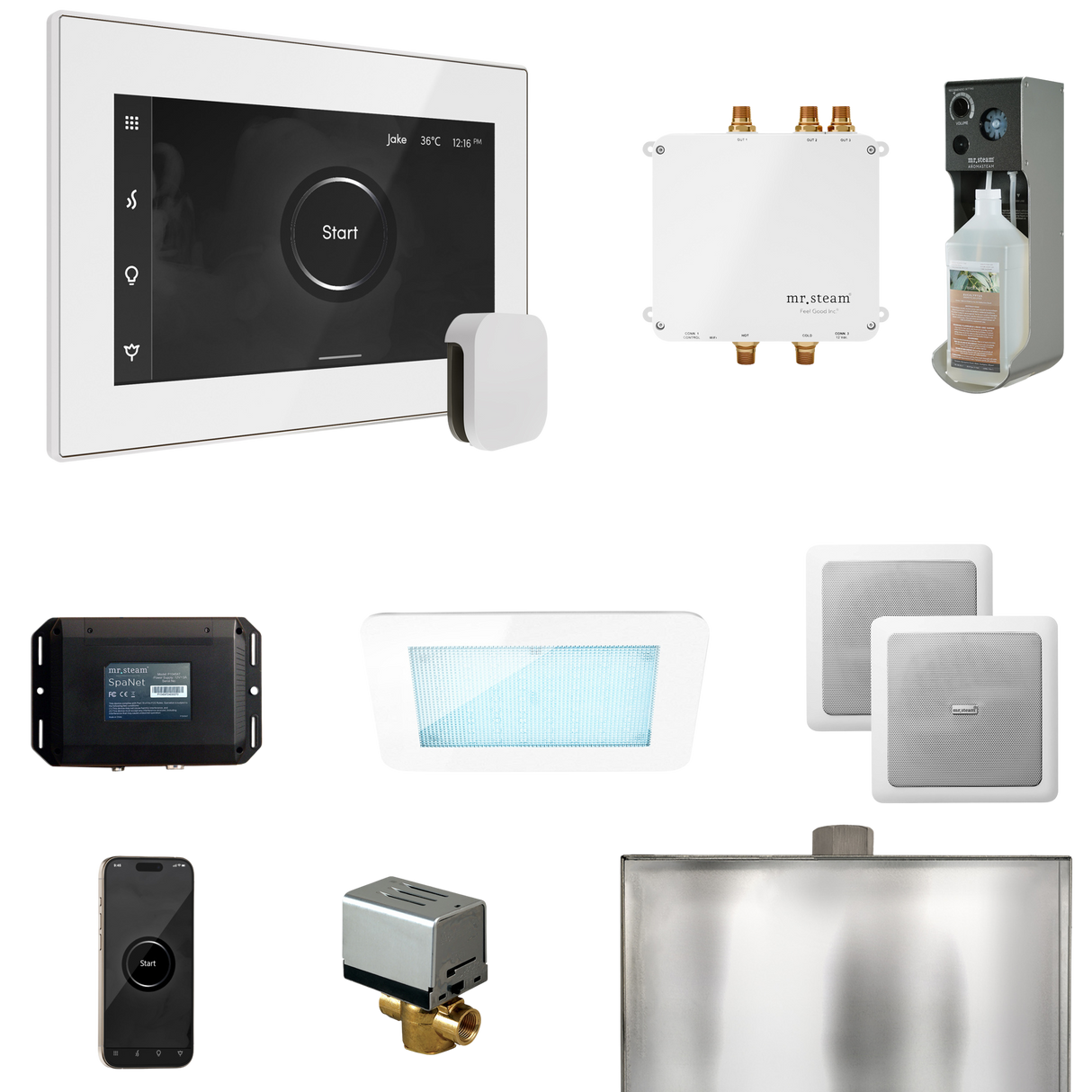 Mr. Steam Bliss Steam Shower Control Package with iSteamX Control and Steamhead