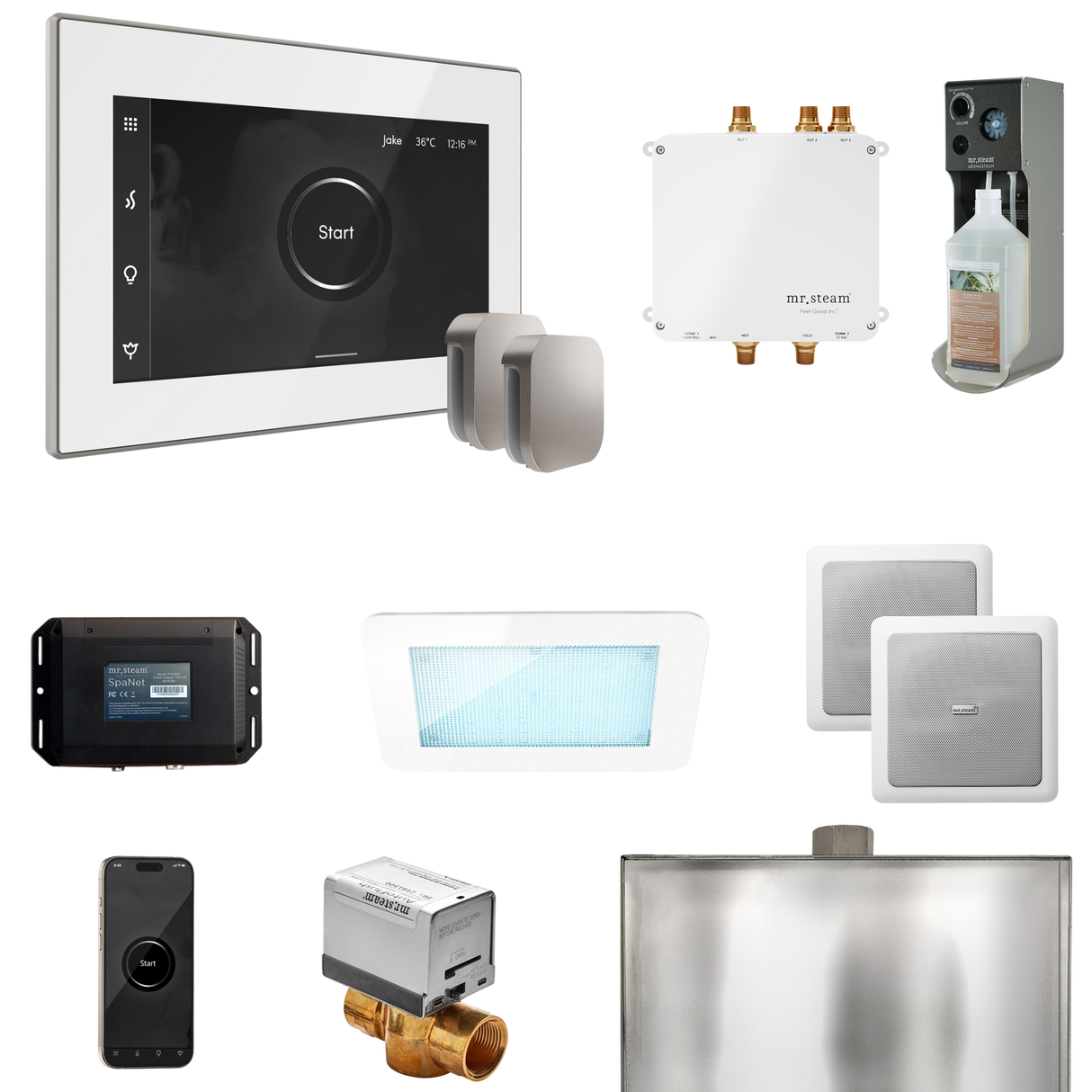 Mr. Steam Bliss Max Steam Shower Control Package with iSteamX Control and Steamhead