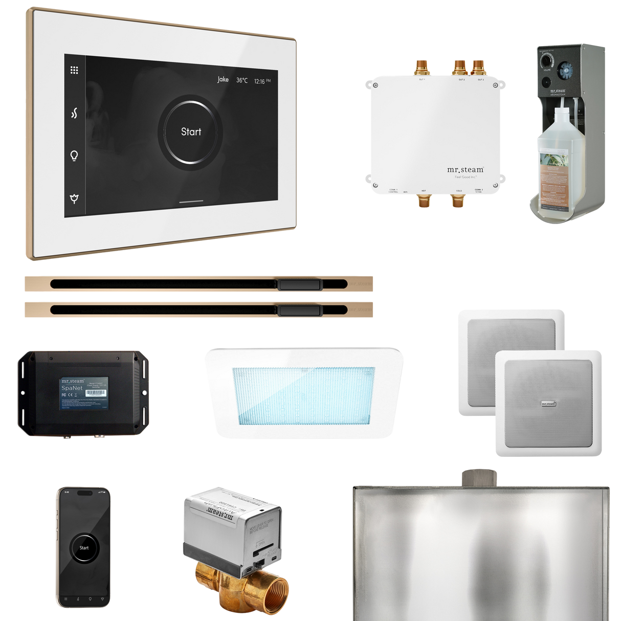 Mr. Steam Bliss Max Steam Shower Control Package with iSteamX Control and Linear Steamhead