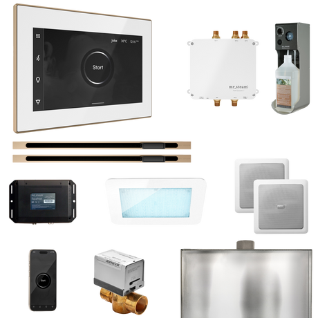 Mr. Steam Bliss Max Steam Shower Control Package with iSteamX Control and Linear Steamhead