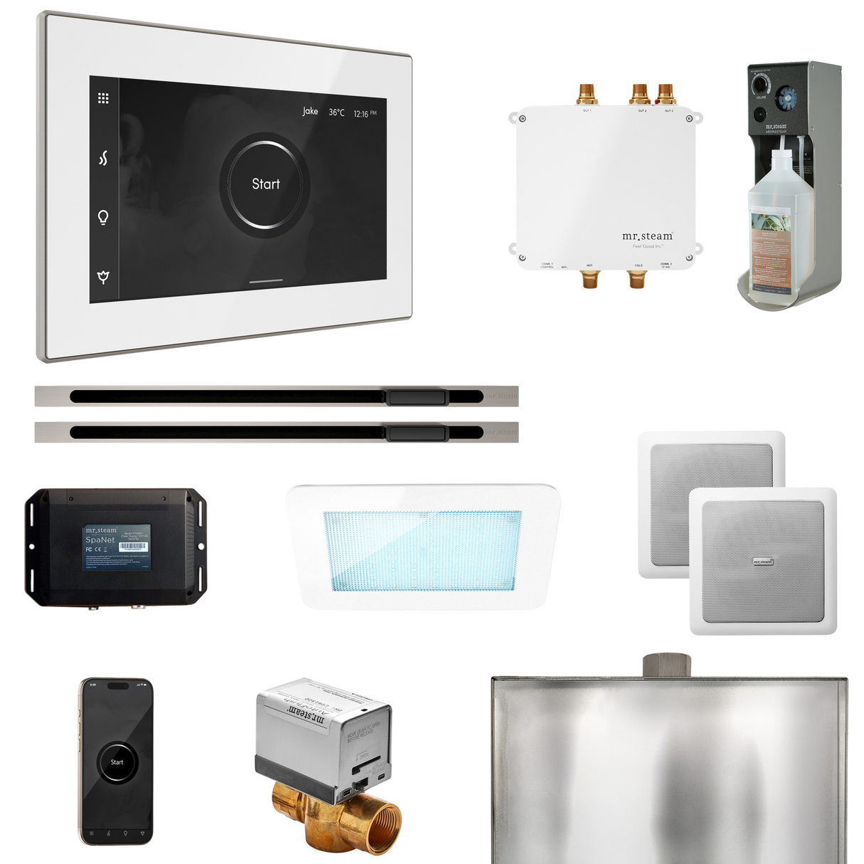 Mr. Steam Bliss Max Steam Shower Control Package with iSteamX Control and Linear Steamhead