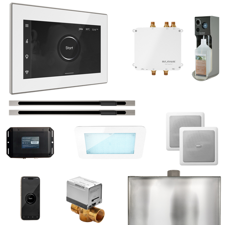 Mr. Steam Bliss Max Steam Shower Control Package with iSteamX Control and Linear Steamhead
