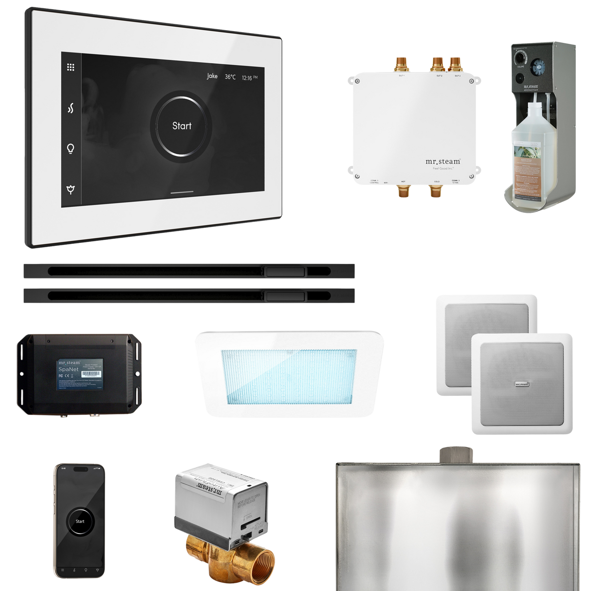 Mr. Steam Bliss Max Steam Shower Control Package with iSteamX Control and Linear Steamhead