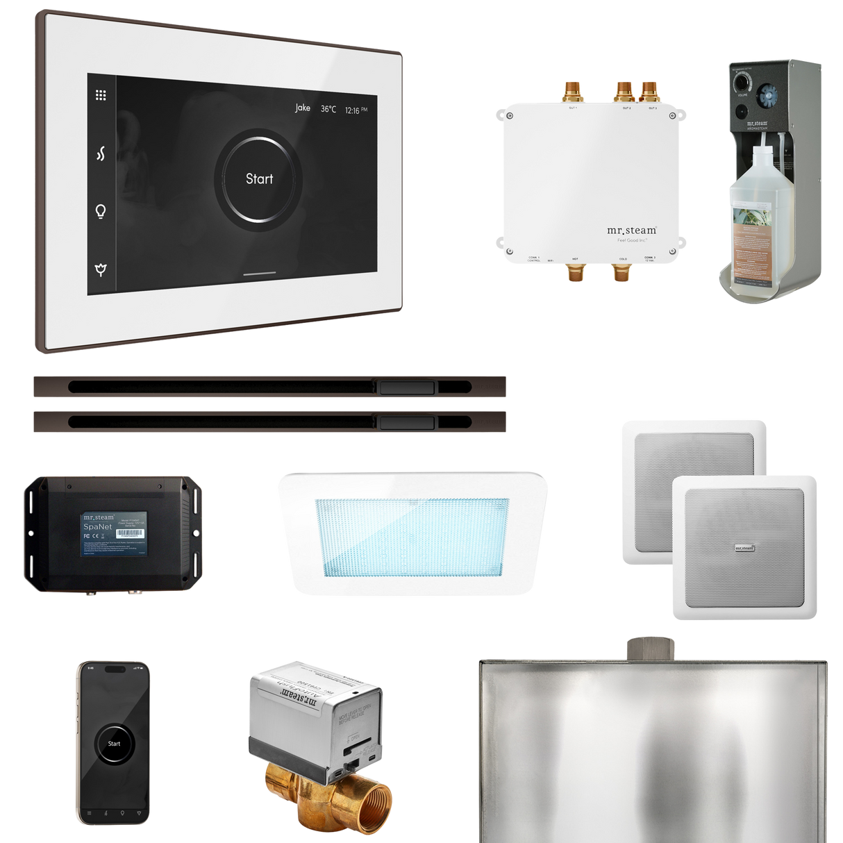 Mr. Steam Bliss Max Steam Shower Control Package with iSteamX Control and Linear Steamhead
