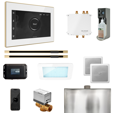 Mr. Steam Bliss Max Steam Shower Control Package with iSteamX Control and Linear Steamhead