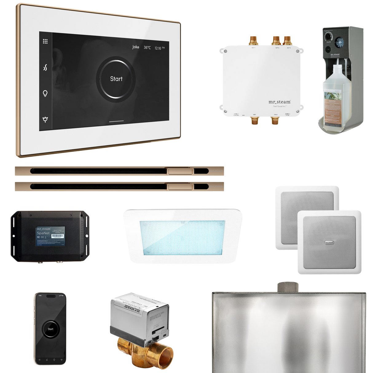 Mr. Steam Bliss Max Steam Shower Control Package with iSteamX Control and Linear Steamhead