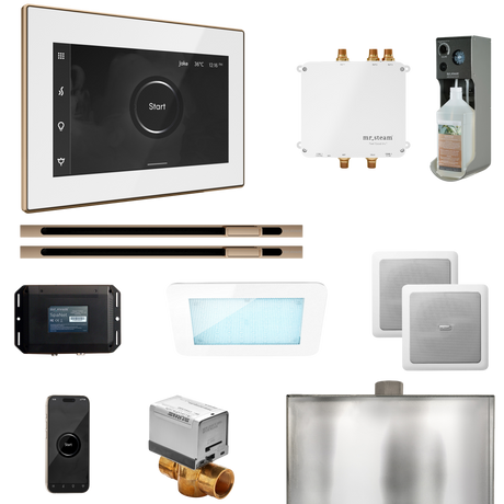 Mr. Steam Bliss Max Steam Shower Control Package with iSteamX Control and Linear Steamhead