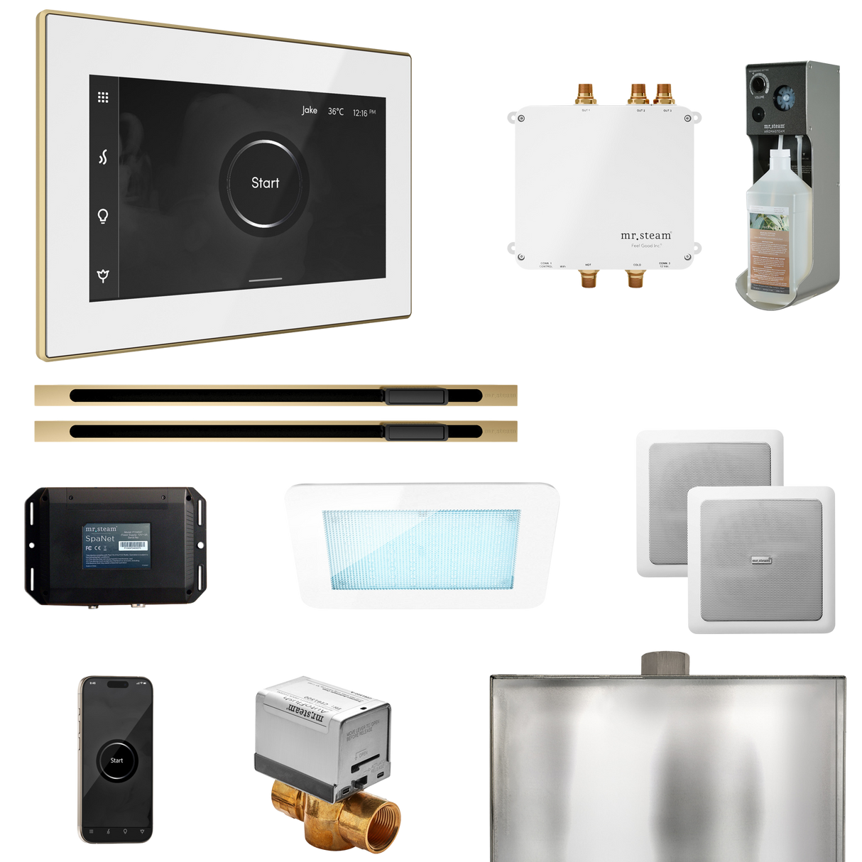 Mr. Steam Bliss Max Steam Shower Control Package with iSteamX Control and Linear Steamhead