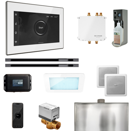 Mr. Steam Bliss Max Steam Shower Control Package with iSteamX Control and Linear Steamhead