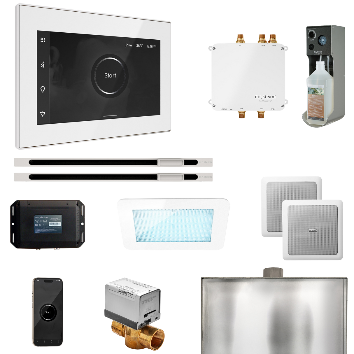 Mr. Steam Bliss Max Steam Shower Control Package with iSteamX Control and Linear Steamhead