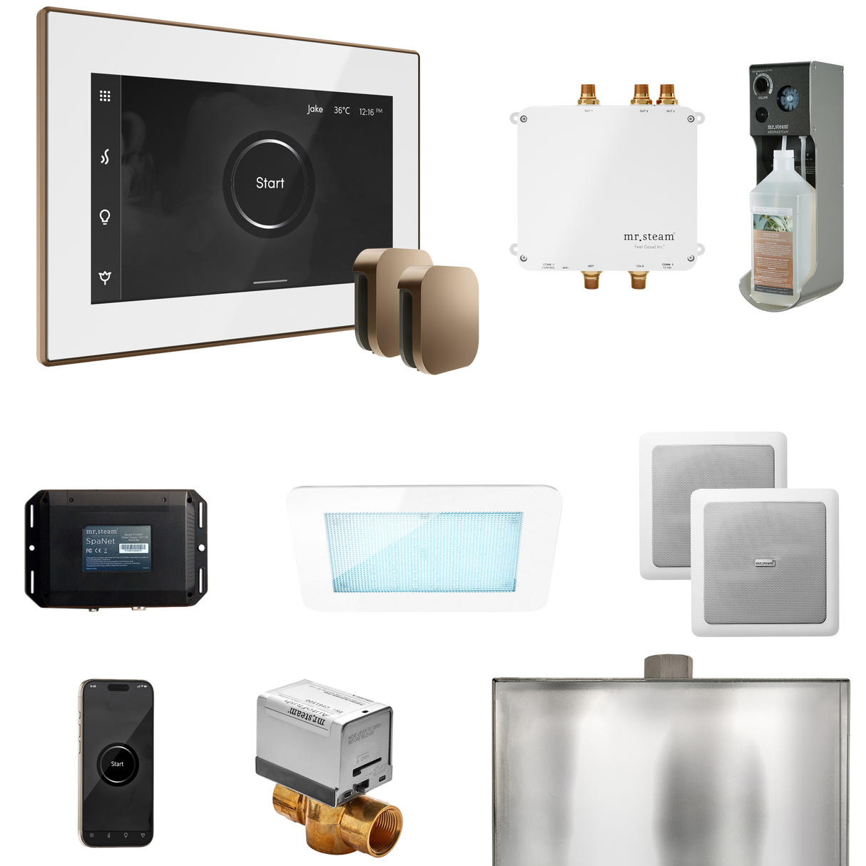 Mr. Steam Bliss Max Steam Shower Control Package with iSteamX Control and Steamhead
