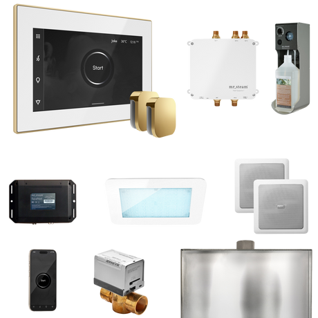 Mr. Steam Bliss Max Steam Shower Control Package with iSteamX Control and Steamhead