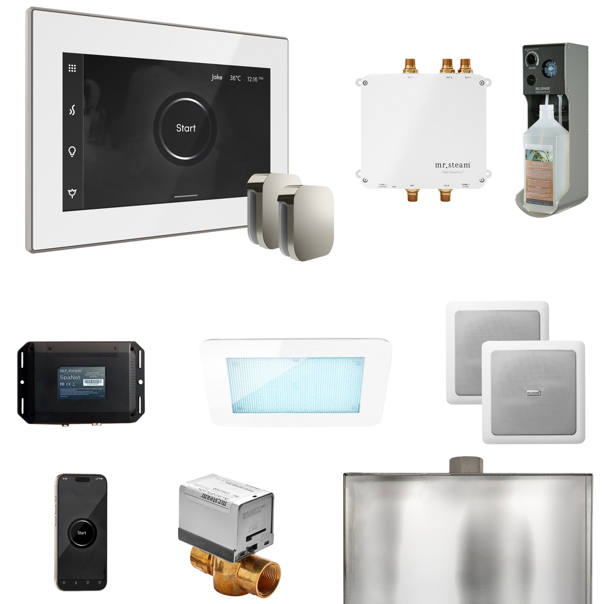 Mr. Steam Bliss Max Steam Shower Control Package with iSteamX Control and Steamhead