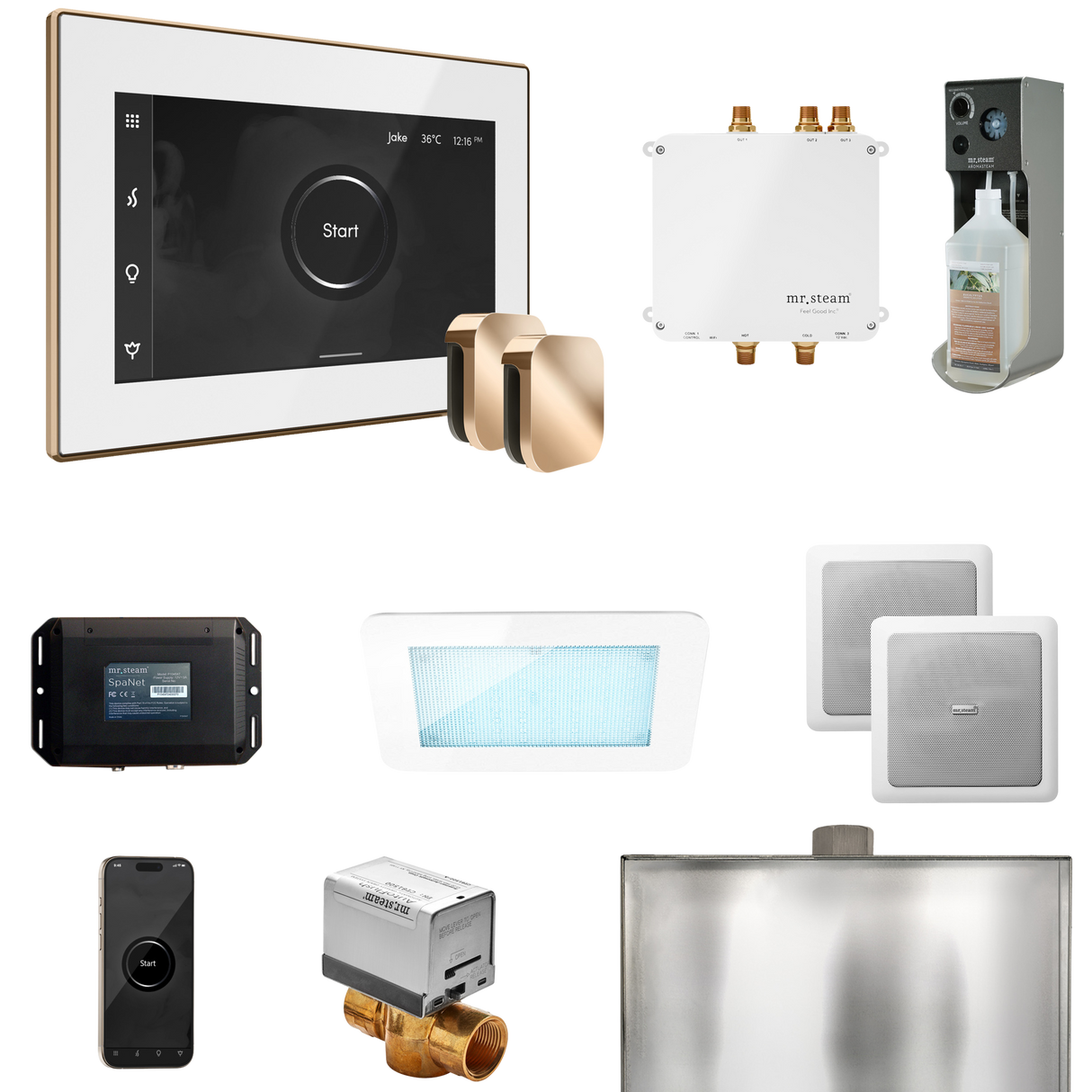 Mr. Steam Bliss Max Steam Shower Control Package with iSteamX Control and Steamhead