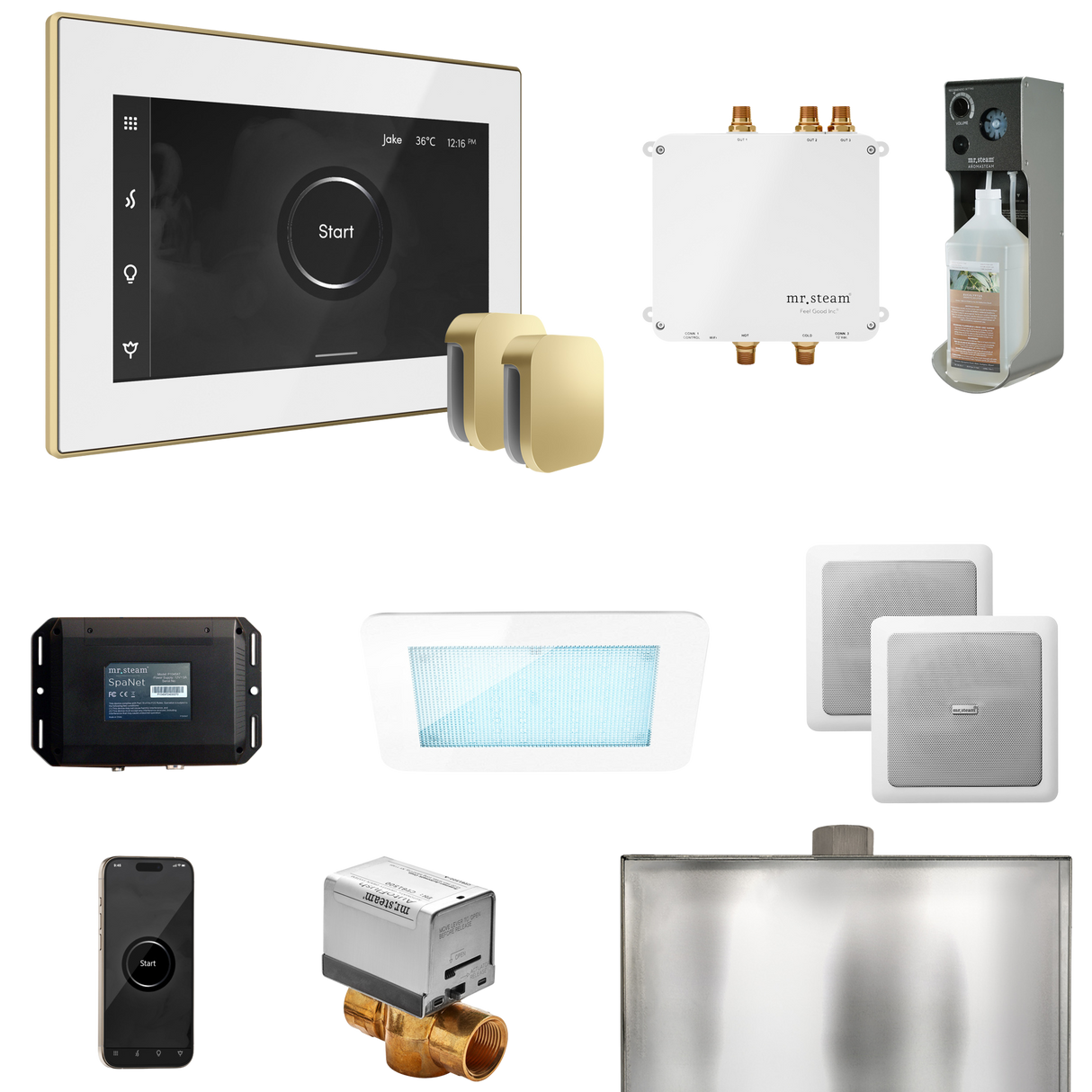 Mr. Steam Bliss Max Steam Shower Control Package with iSteamX Control and Steamhead
